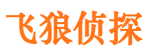 平阳外遇出轨调查取证